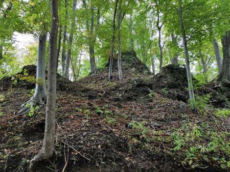 Stari grad Štanenberg